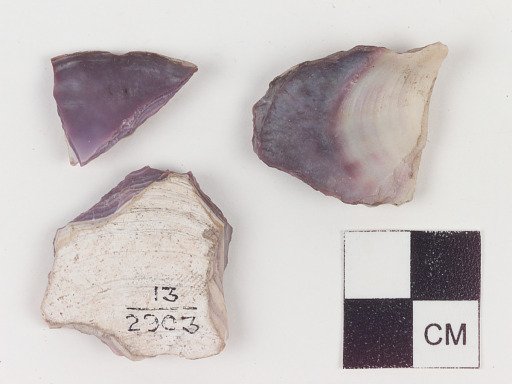Shell