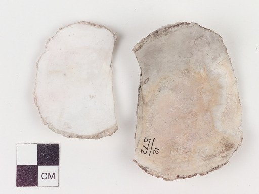 Worked shell