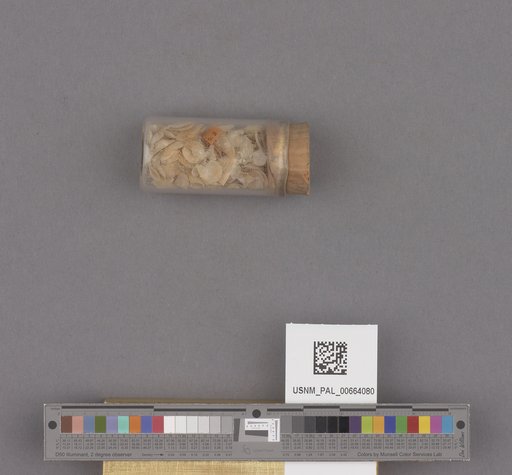 NSF ADBC EPICC TCN