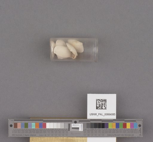 NSF ADBC EPICC TCN
