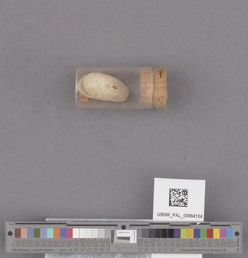 NSF ADBC EPICC TCN
