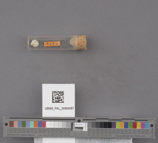 NSF ADBC EPICC TCN