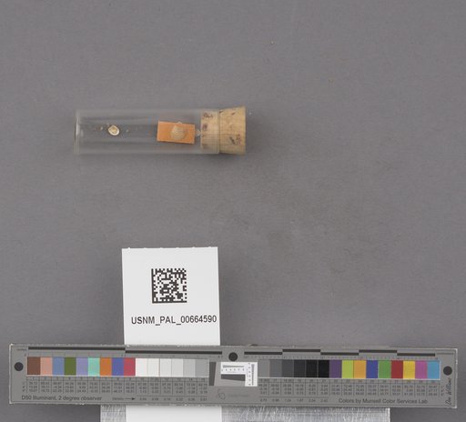 NSF ADBC EPICC TCN