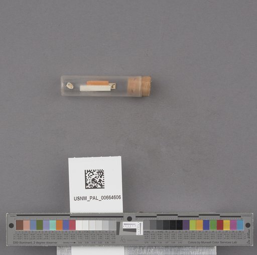 NSF ADBC EPICC TCN