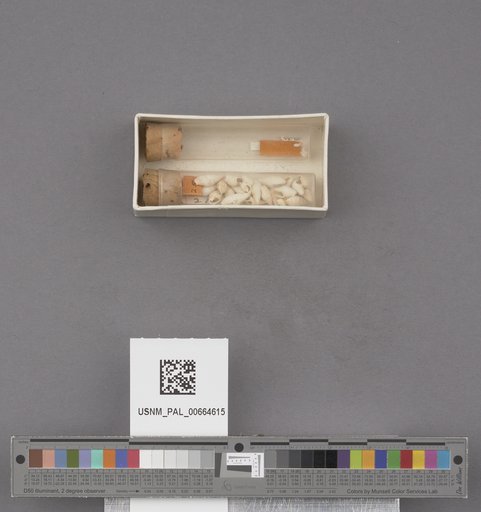 NSF ADBC EPICC TCN