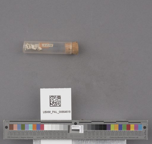 NSF ADBC EPICC TCN