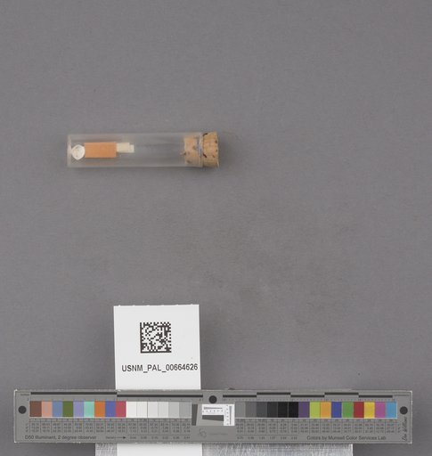 NSF ADBC EPICC TCN