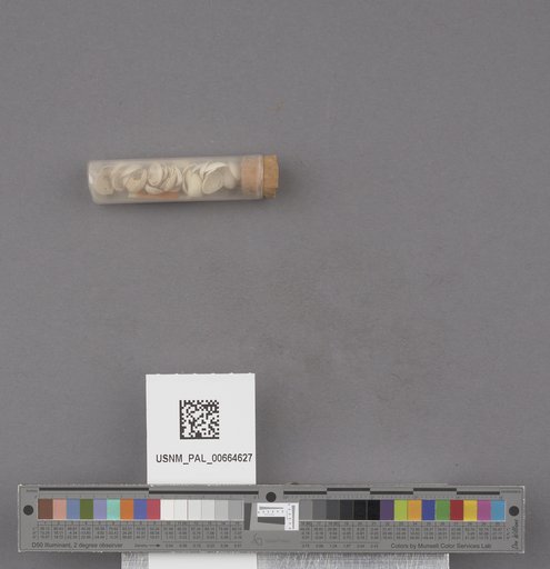 NSF ADBC EPICC TCN