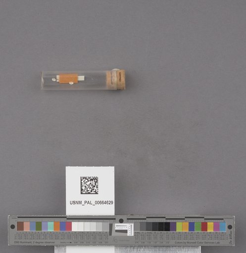 NSF ADBC EPICC TCN