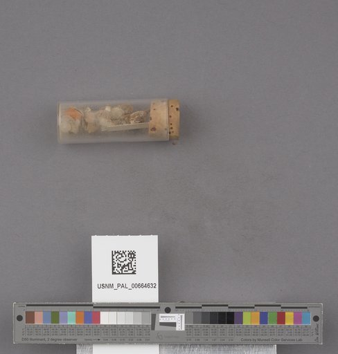 NSF ADBC EPICC TCN