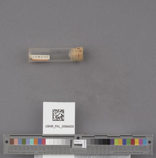 NSF ADBC EPICC TCN