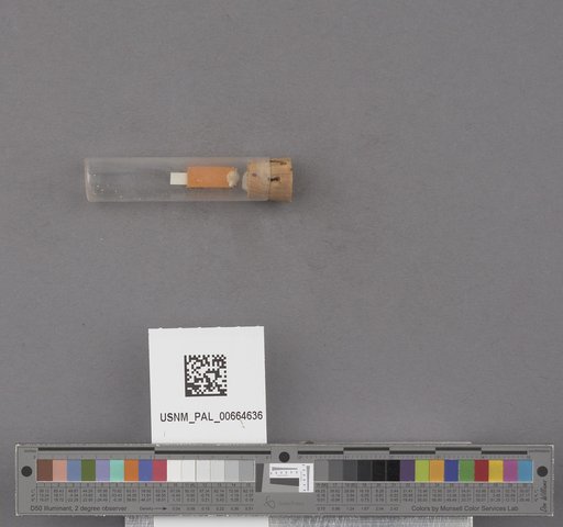 NSF ADBC EPICC TCN