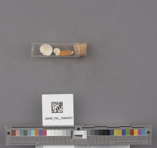 NSF ADBC EPICC TCN