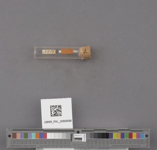 NSF ADBC EPICC TCN