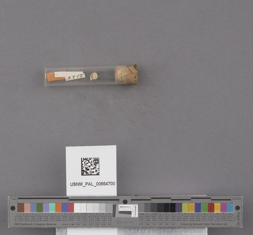 NSF ADBC EPICC TCN