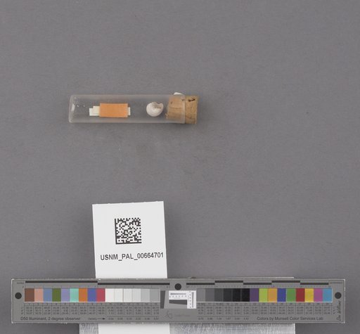 NSF ADBC EPICC TCN