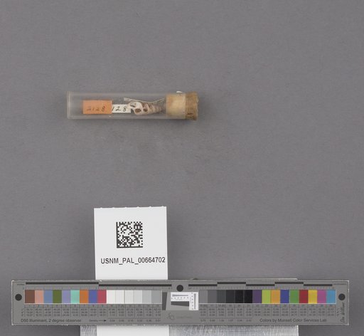 NSF ADBC EPICC TCN
