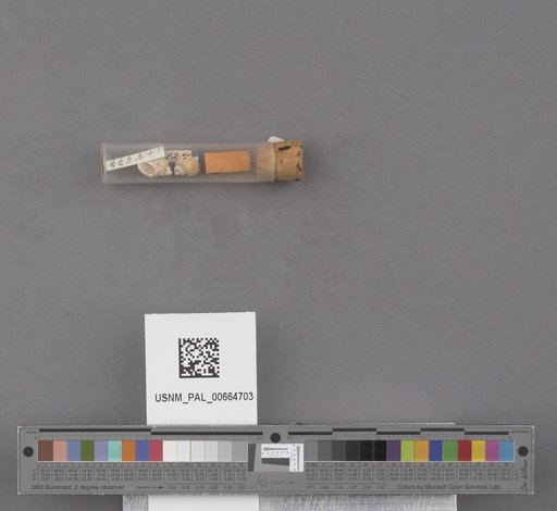 NSF ADBC EPICC TCN