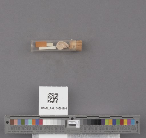 NSF ADBC EPICC TCN