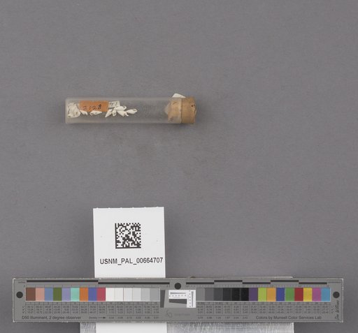 NSF ADBC EPICC TCN