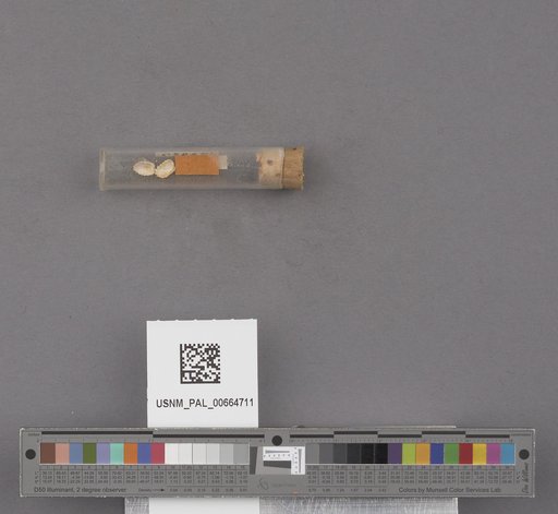 NSF ADBC EPICC TCN