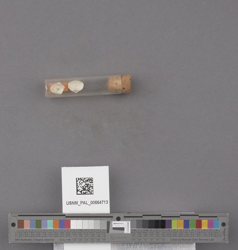 NSF ADBC EPICC TCN