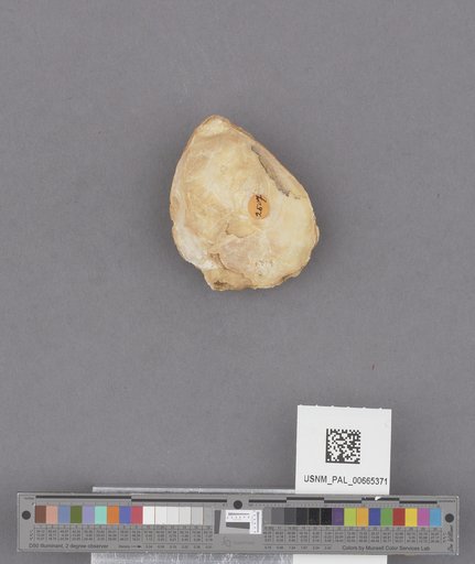 NSF ADBC EPICC TCN