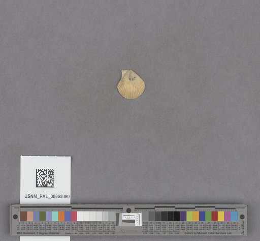 NSF ADBC EPICC TCN