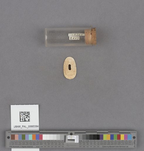 NSF ADBC EPICC TCN