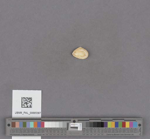 NSF ADBC EPICC TCN