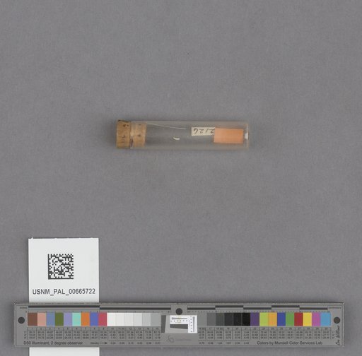 NSF ADBC EPICC TCN