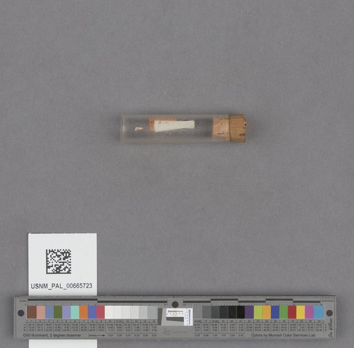 NSF ADBC EPICC TCN