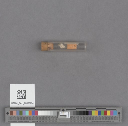 NSF ADBC EPICC TCN