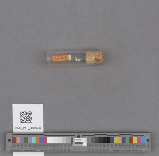 NSF ADBC EPICC TCN