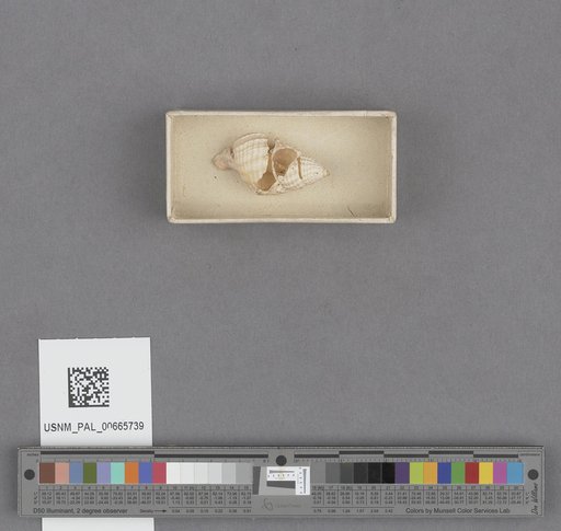 NSF ADBC EPICC TCN