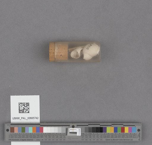 NSF ADBC EPICC TCN