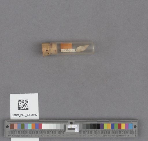 NSF ADBC EPICC TCN