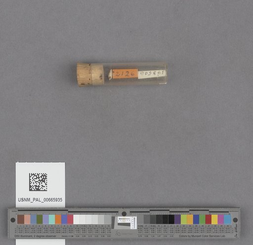 NSF ADBC EPICC TCN