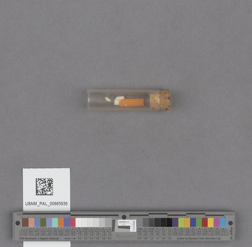 NSF ADBC EPICC TCN