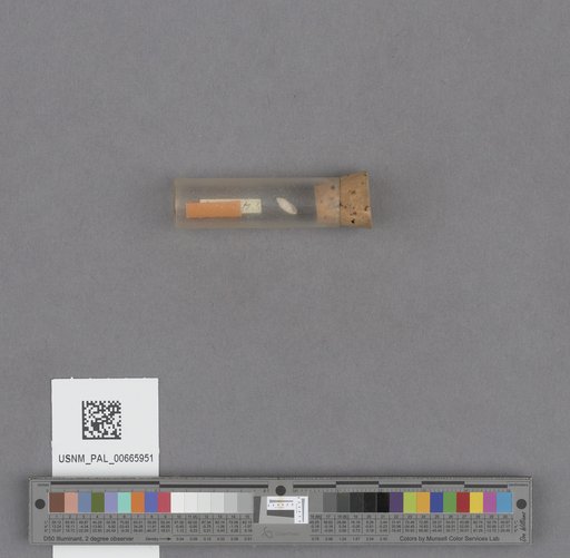 NSF ADBC EPICC TCN