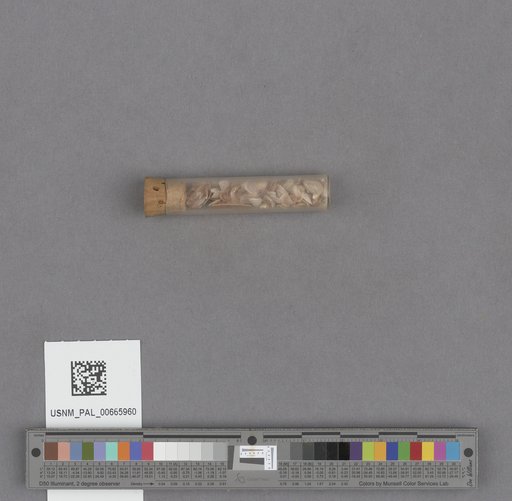 NSF ADBC EPICC TCN