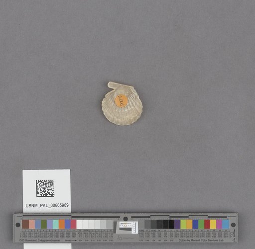 NSF ADBC EPICC TCN
