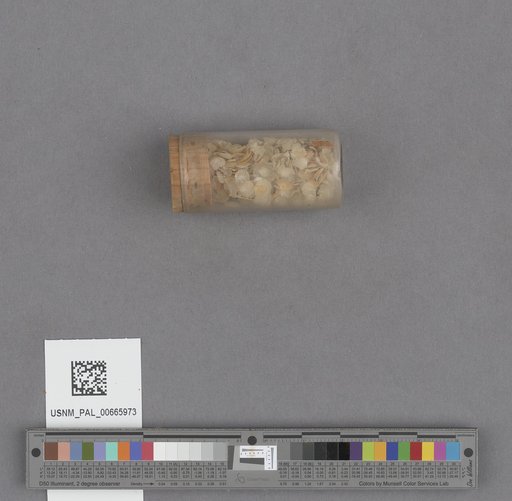 NSF ADBC EPICC TCN
