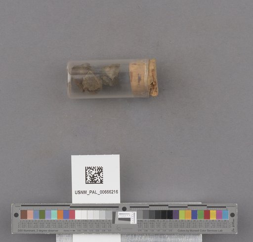 NSF ADBC EPICC TCN