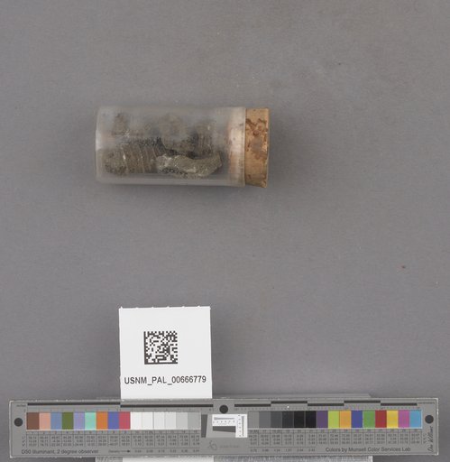 NSF ADBC EPICC TCN