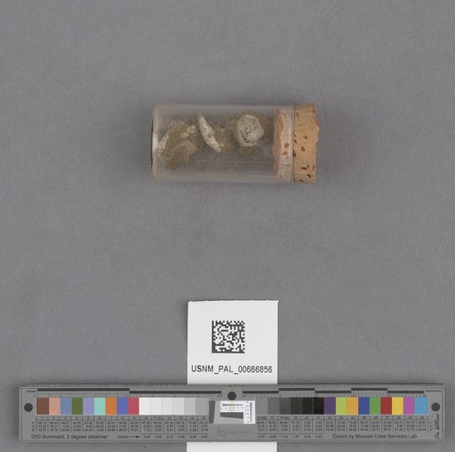NSF ADBC EPICC TCN