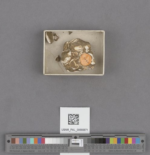 NSF ADBC EPICC TCN
