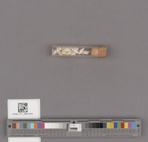 NSF ADBC EPICC TCN
