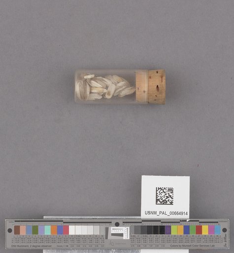 NSF ADBC EPICC TCN