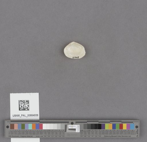 NSF ADBC EPICC TCN
